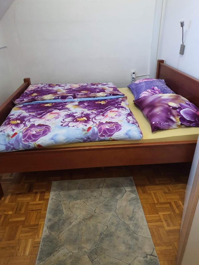 Terme Catez Apartma Nine Чатеж об Сави Екстериор снимка