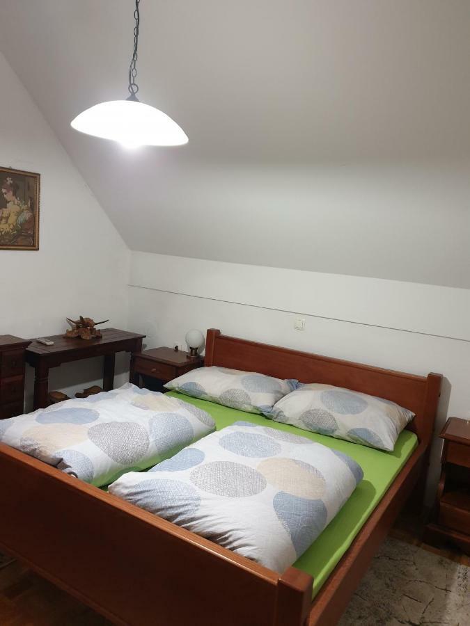 Terme Catez Apartma Nine Чатеж об Сави Екстериор снимка