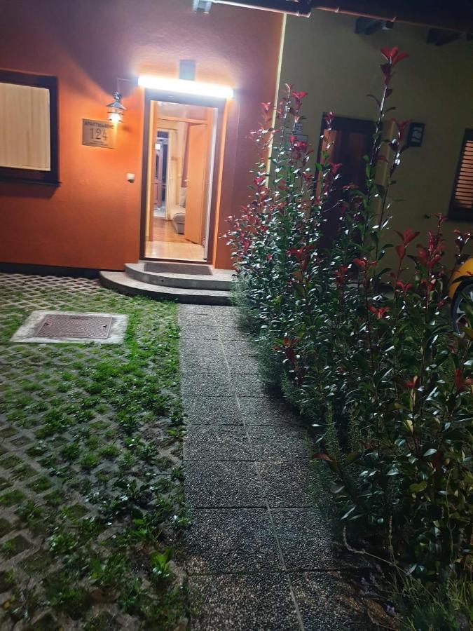 Terme Catez Apartma Nine Чатеж об Сави Екстериор снимка