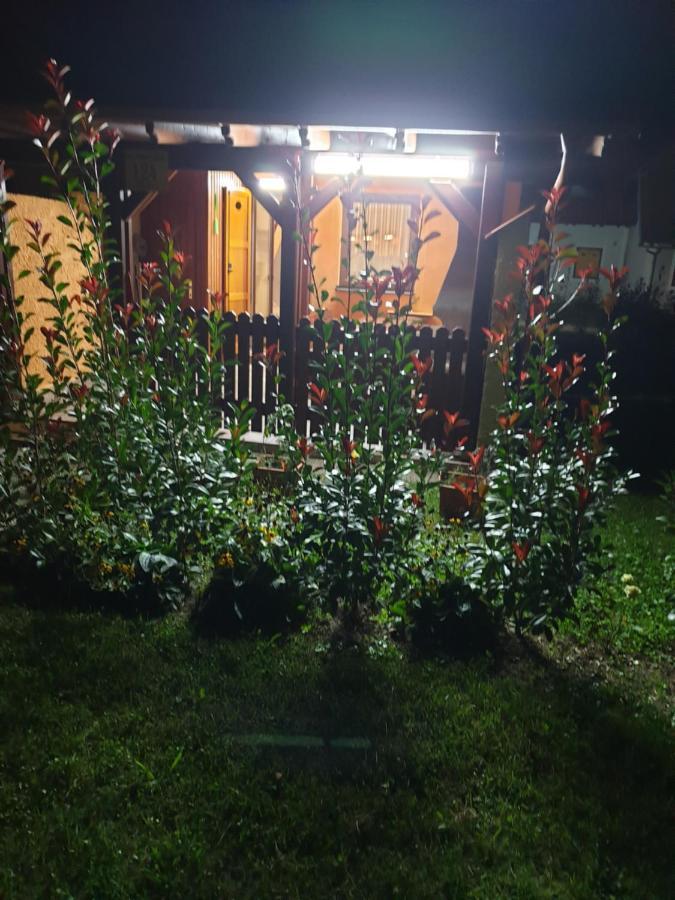 Terme Catez Apartma Nine Чатеж об Сави Екстериор снимка